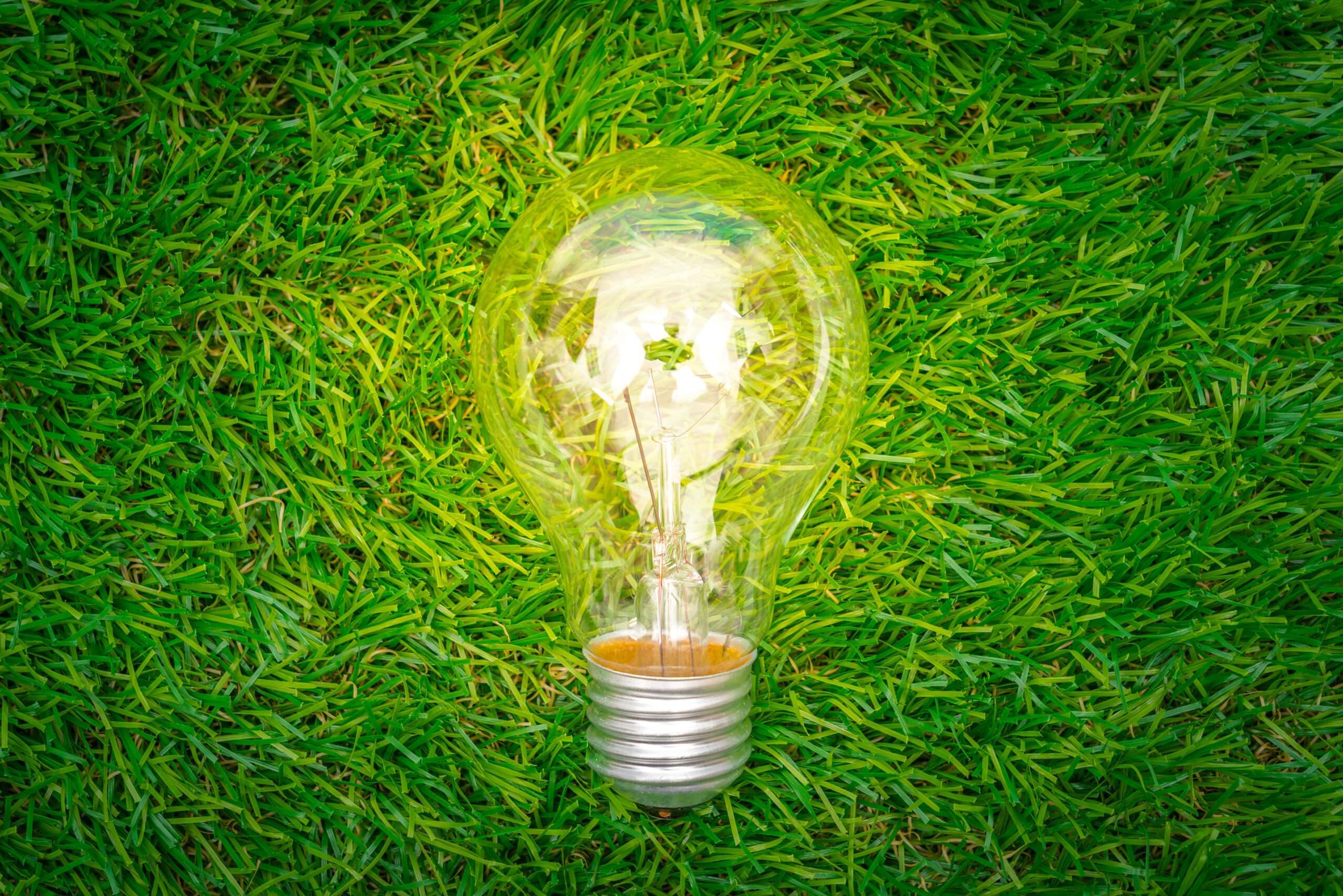 Read more about the article West Bengal Invites Bids for Supply of Solar Module for 10 MW Solar Project